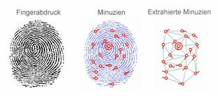 Fingerabdruck und extrahierte Minuzien Fingerabdruck und extrahierte Minuzien