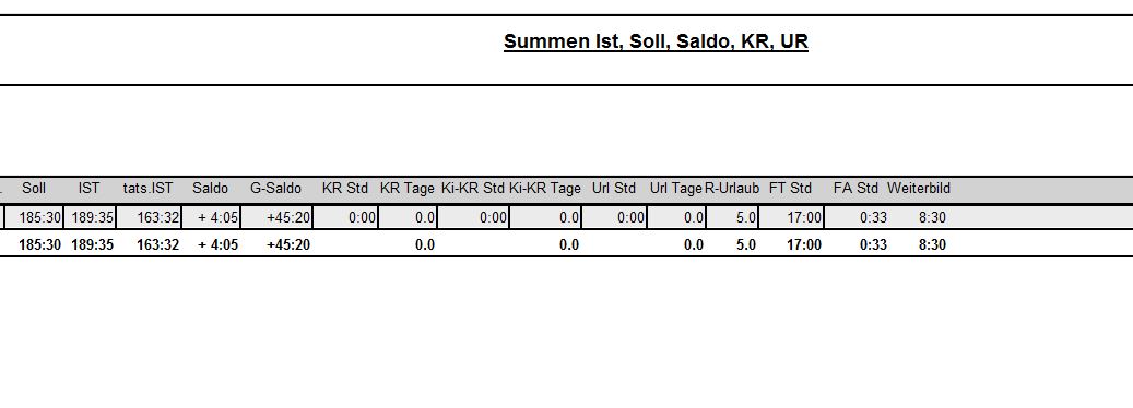 Summen Ausschnitt.JPG